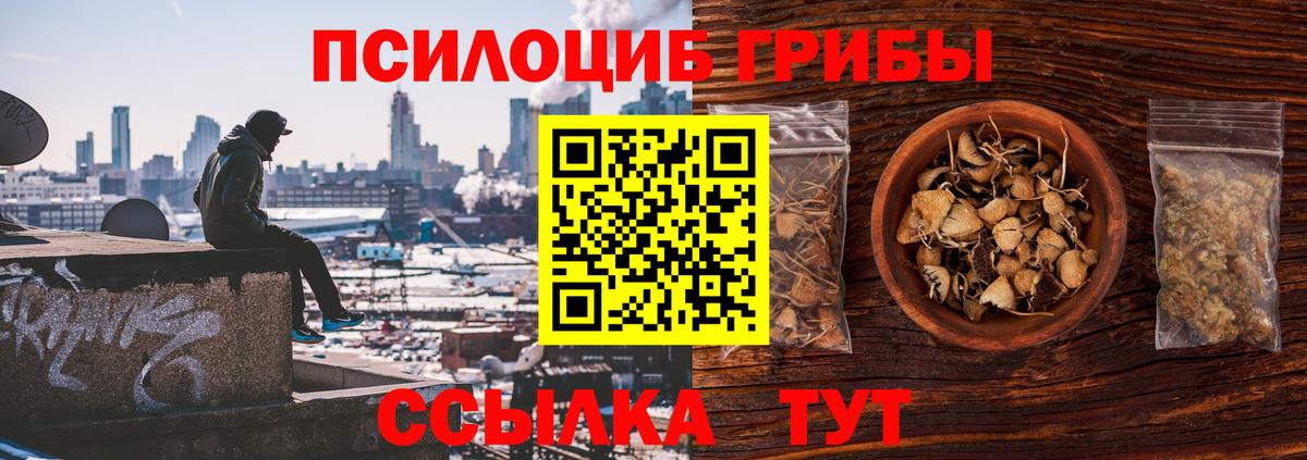 Галлюциногенные грибы Magic Shrooms  Вход с VPN  Тимашёвск 
